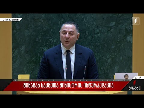 შს მინისტრის ინტერპელაცია